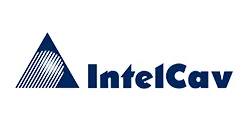 INTELCARV_11zon